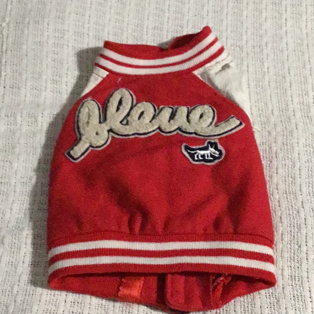 Bomber jacket for teacup dog